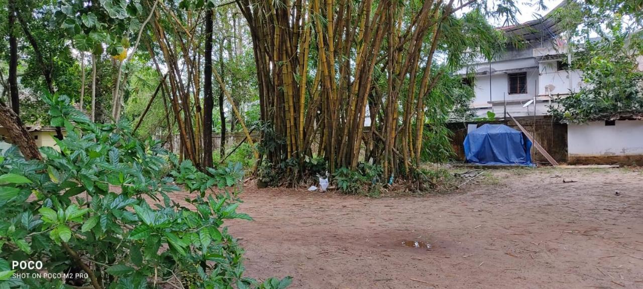 Kottaram Heritage Resort Alappuzha المظهر الخارجي الصورة